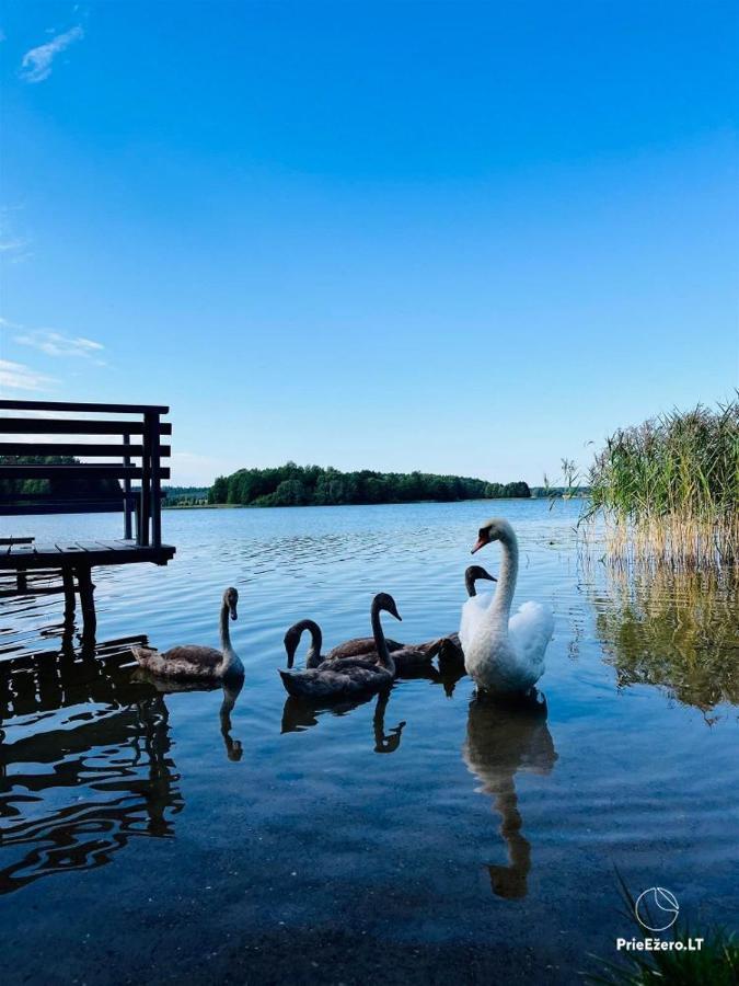 Resort By Nava Lake Aukštadvaris 外观 照片